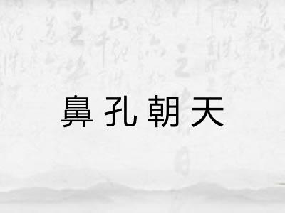 鼻孔朝天 鼻孔朝天