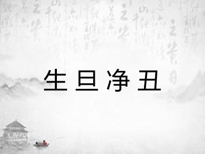 生旦净丑 生旦净丑