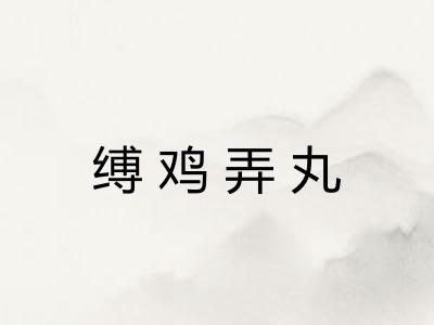 缚鸡弄丸 缚鸡弄丸