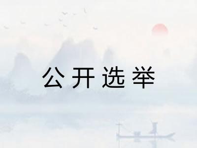 公开选举