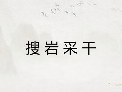 搜岩采干