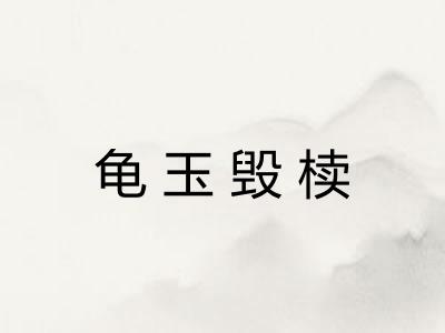 龟玉毁椟 龟玉毁椟