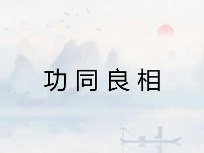 功同良相