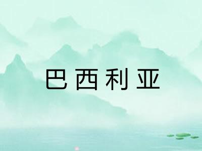 巴西利亚 巴西利亚