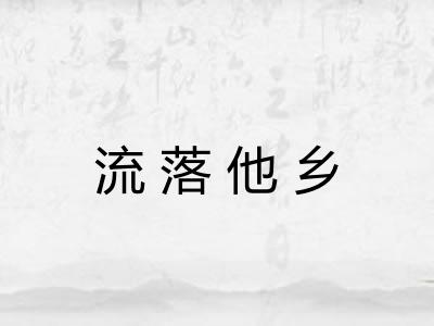流落他乡 流落他乡