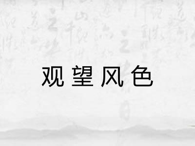 观望风色 观望风色