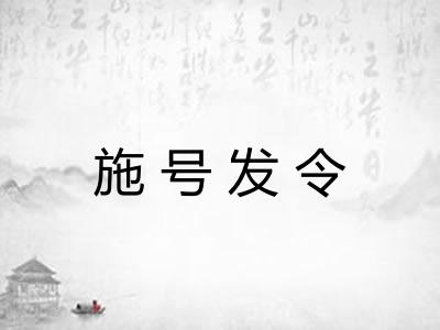 施号发令 施号发令