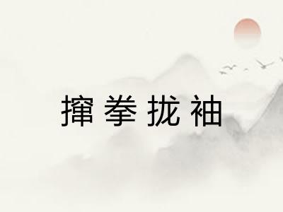 撺拳拢袖 撺拳拢袖