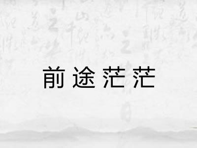 前途茫茫 前途茫茫