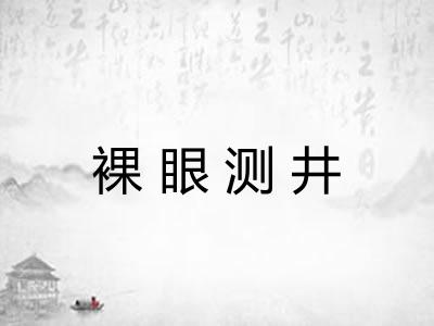 裸眼测井 裸眼测井