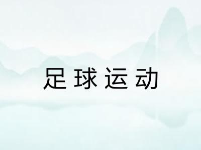 足球运动 足球运动