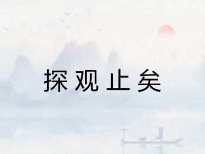 探观止矣 探观止矣