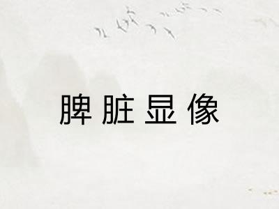 脾脏显像 脾脏显像