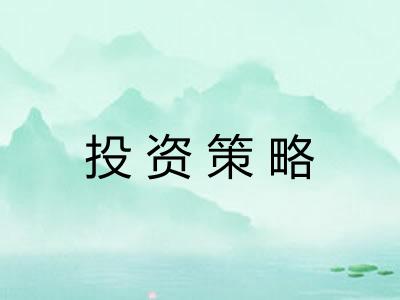 投资策略 投资策略