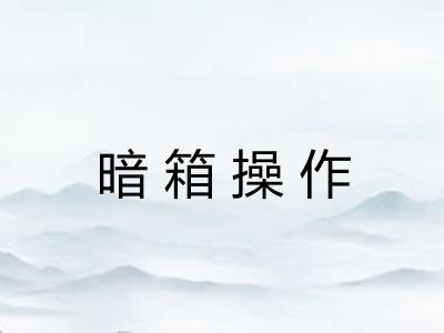 暗箱操作 暗箱操作