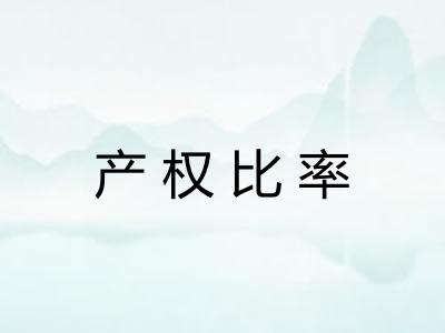产权比率 产权比率