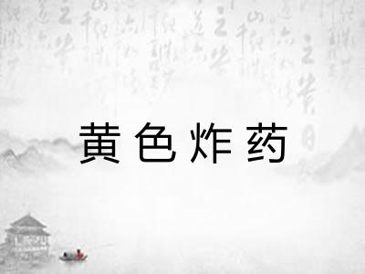 黄色炸药 黄色炸药