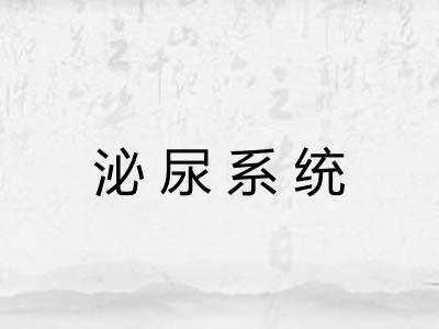 泌尿系统 泌尿系统