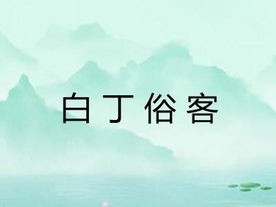 白丁俗客 白丁俗客