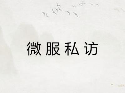 微服私访