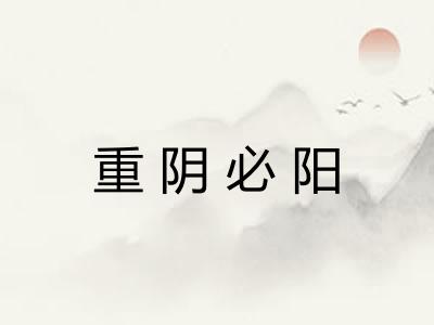 重阴必阳 重阴必阳