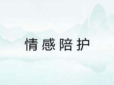 情感陪护