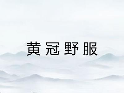 黄冠野服