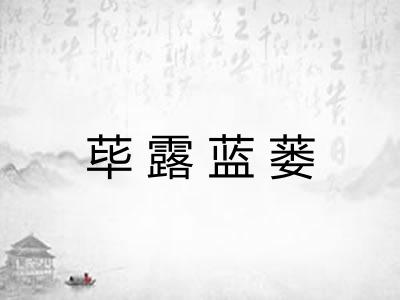 荜露蓝蒌 荜露蓝蒌