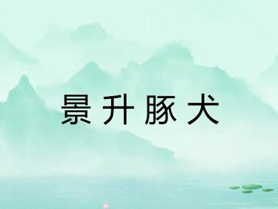 景升豚犬 景升豚犬