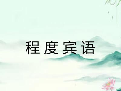 程度宾语 程度宾语