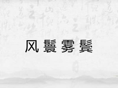 风鬟雾鬓 风鬟雾鬓