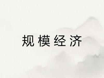 规模经济 规模经济