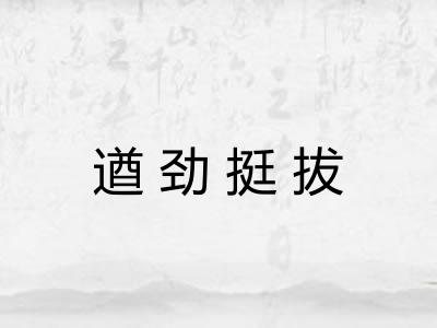 遒劲挺拔 遒劲挺拔