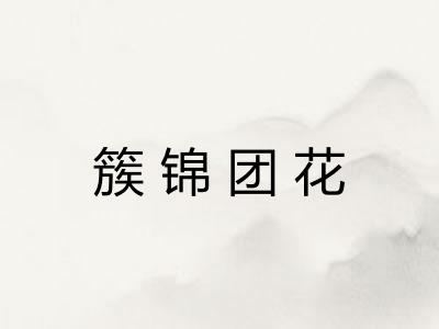 簇锦团花 簇锦团花