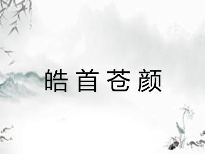 皓首苍颜 皓首苍颜