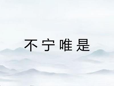 不宁唯是