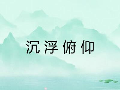 沉浮俯仰