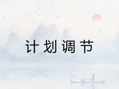 计划调节 计划调节