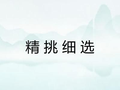 精挑细选 精挑细选