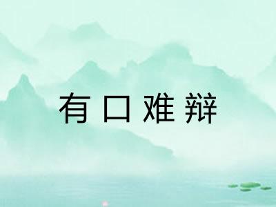 有口难辩