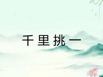 千里挑一 千里挑一