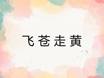 飞苍走黄 飞苍走黄