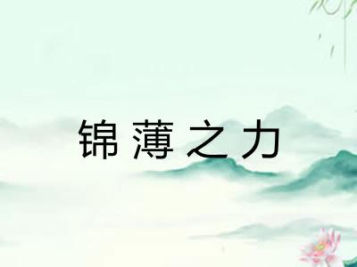 锦薄之力 锦薄之力