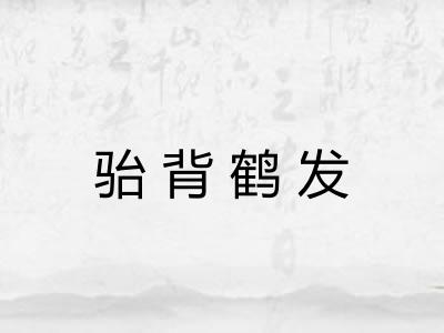 骀背鹤发 骀背鹤发