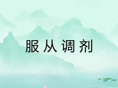 服从调剂 服从调剂