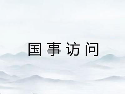 国事访问 国事访问