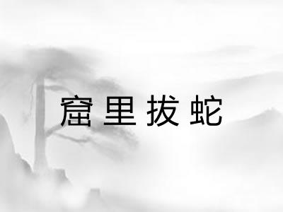 窟里拔蛇 窟里拔蛇