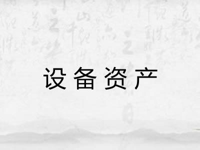 设备资产 设备资产