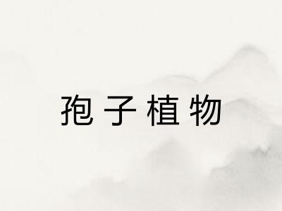 孢子植物 孢子植物