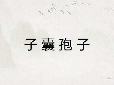 子囊孢子 子囊孢子